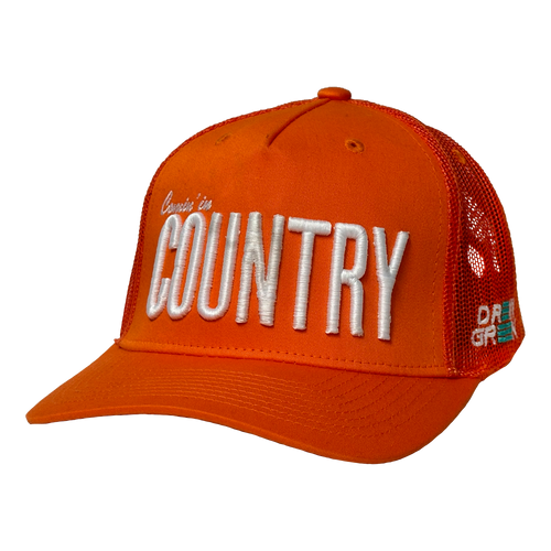 25 Custom Embroidered Hats | Your Logo | $199
